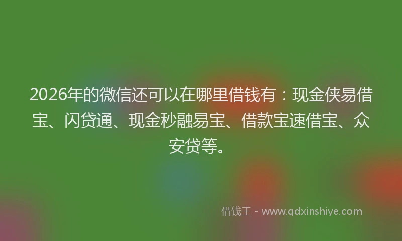 2026年的微信还可以在哪里借钱有：现金侠易借宝、闪贷通、现金秒融易宝、借款宝速借宝、众安贷等。