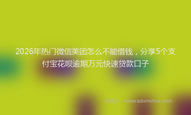 2026年热门微信美团怎么不能借钱，分享5个支付宝花呗逾期万元快速贷款口子