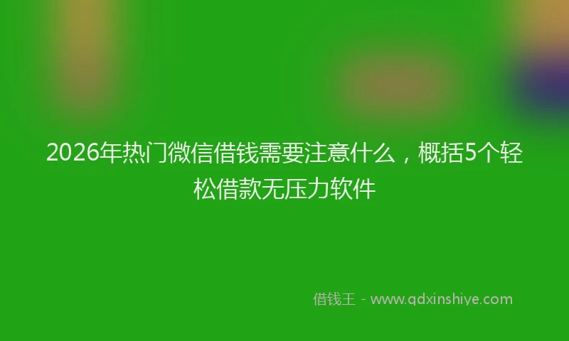 2026年热门微信借钱需要注意什么，概括5个轻松借款无压力软件