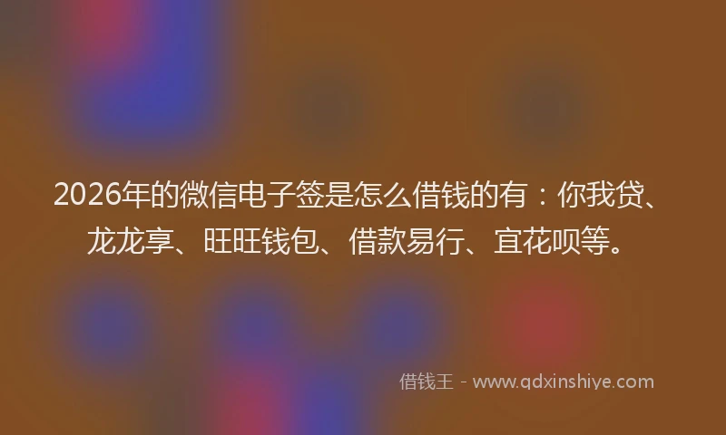 2026年的微信电子签是怎么借钱的有：你我贷、龙龙享、旺旺钱包、借款易行、宜花呗等。