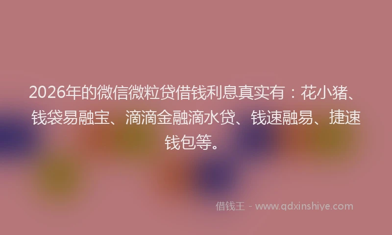 2026年的微信微粒贷借钱利息真实有:花小猪、钱袋易融宝、滴滴金融滴水贷、钱速融易、捷速钱包等。