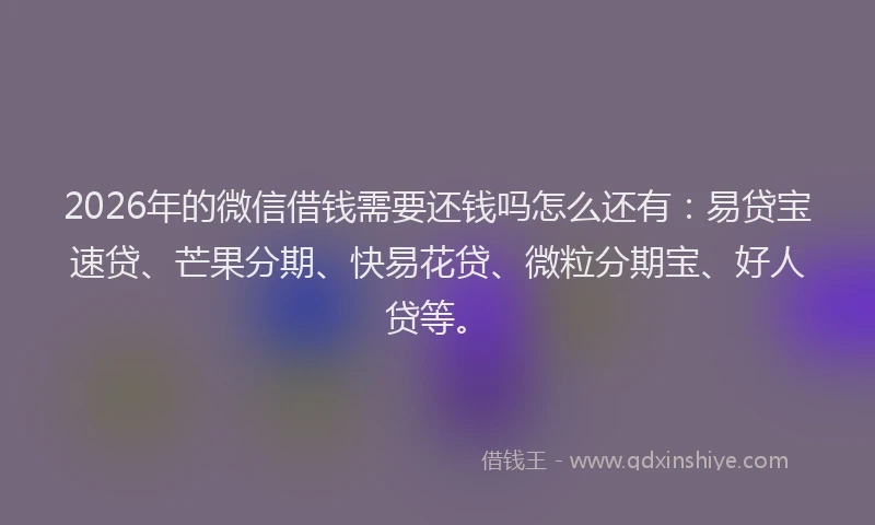 2026年的微信借钱需要还钱吗怎么还有：易贷宝速贷、芒果分期、快易花贷、微粒分期宝、好人贷等。