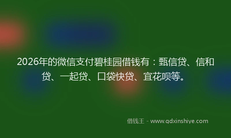 2026年的微信支付碧桂园借钱有：甄信贷、信和贷、一起贷、口袋快贷、宜花呗等。