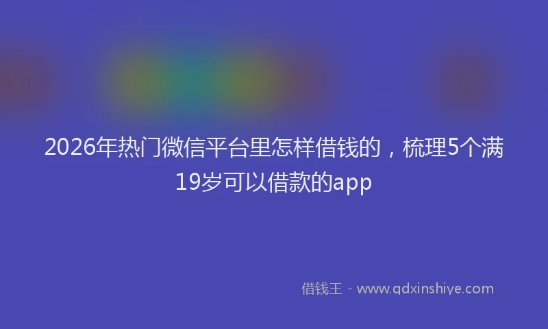 2026年热门微信平台里怎样借钱的，梳理5个满19岁可以借款的app