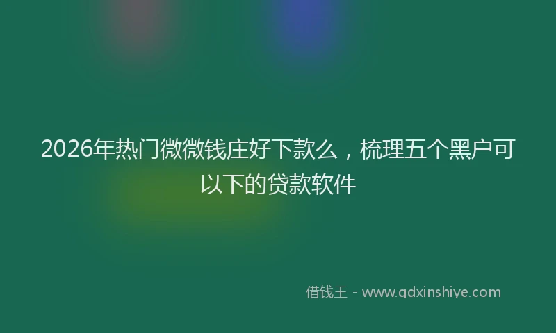 2026年热门微微钱庄好下款么，梳理五个黑户可以下的贷款软件