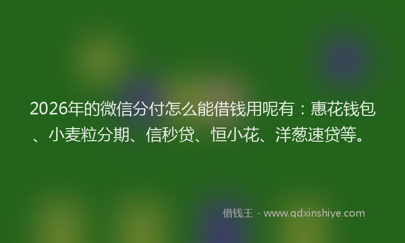 2026年的微信分付怎么能借钱用呢有:惠花钱包、小麦粒分期、信秒贷、恒小花、洋葱速贷等。