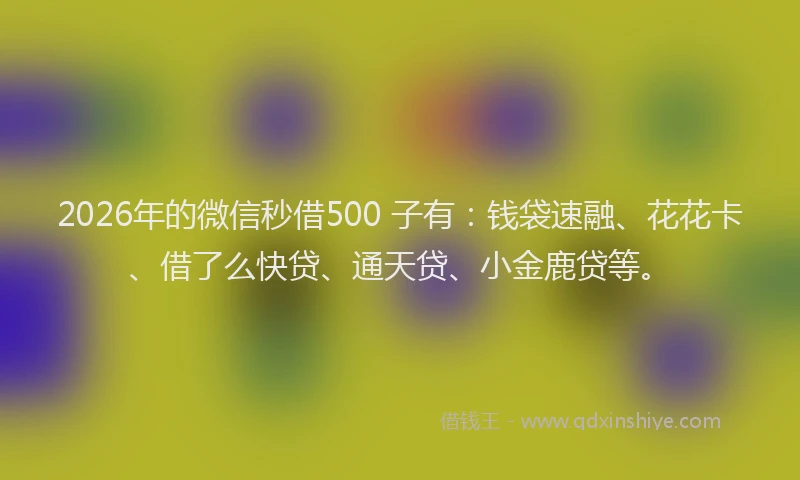 2026年的微信秒借500 子有：钱袋速融、花花卡、借了么快贷、通天贷、小金鹿贷等。