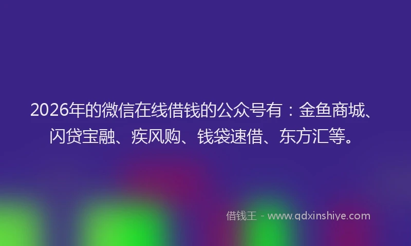 2026年的微信在线借钱的公众号有:金鱼商城、闪贷宝融、疾风购、钱袋速借、东方汇等。