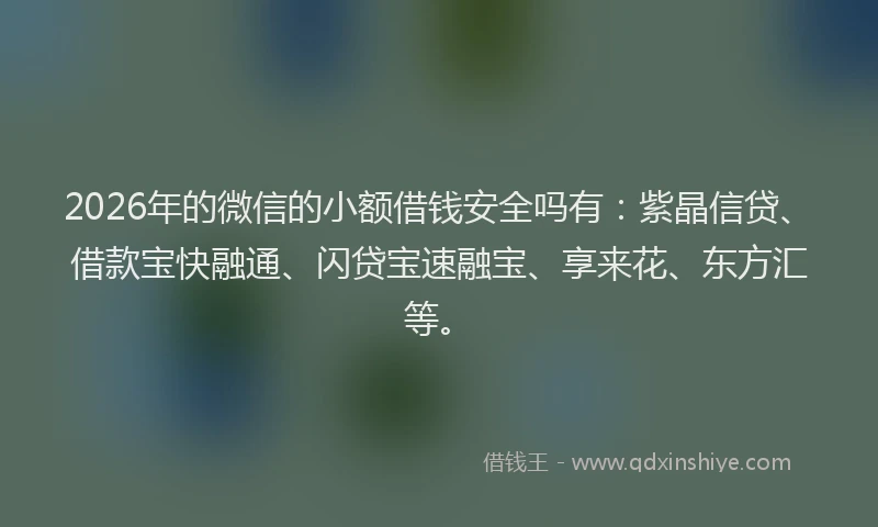 2026年的微信的小额借钱安全吗有：紫晶信贷、借款宝快融通、闪贷宝速融宝、享来花、东方汇等。