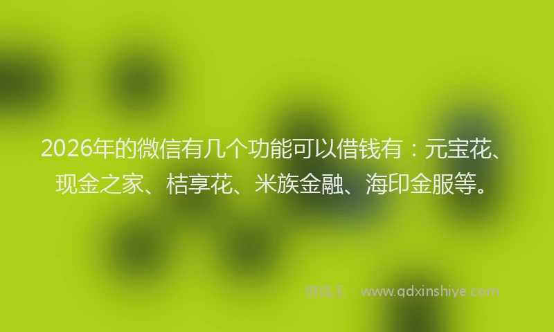 2026年的微信有几个功能可以借钱有：元宝花、现金之家、桔享花、米族金融、海印金服等。