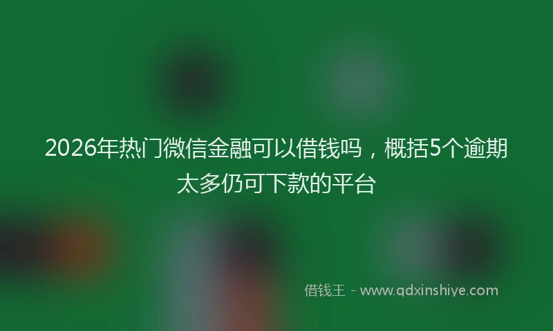 2026年热门微信金融可以借钱吗，概括5个逾期太多仍可下款的平台
