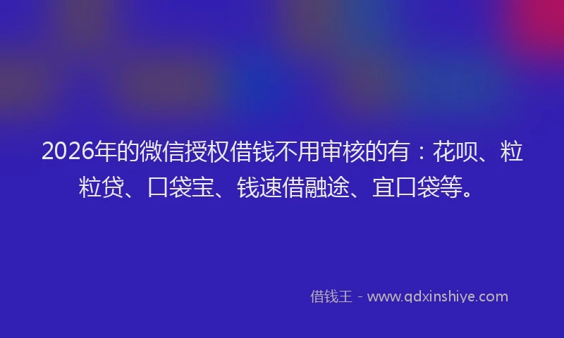 2026年的微信授权借钱不用审核的有：花呗、粒粒贷、口袋宝、钱速借融途、宜口袋等。