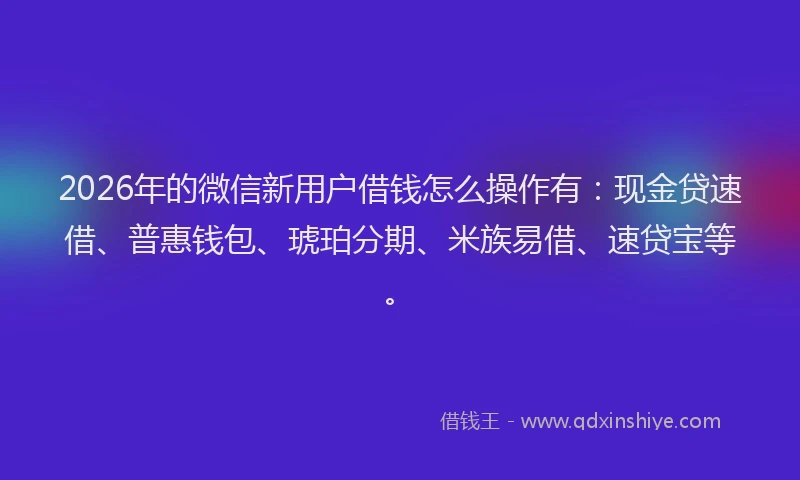 2026年的微信新用户借钱怎么操作有：现金贷速借、普惠钱包、琥珀分期、米族易借、速贷宝等。