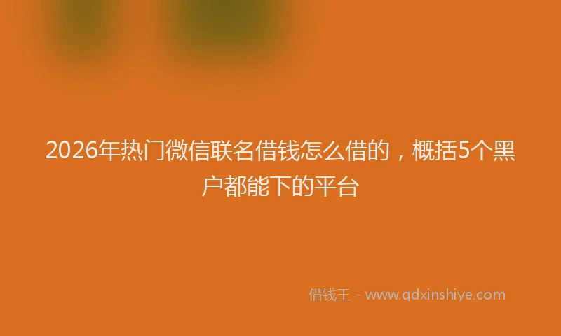 2026年热门微信联名借钱怎么借的，概括5个黑户都能下的平台