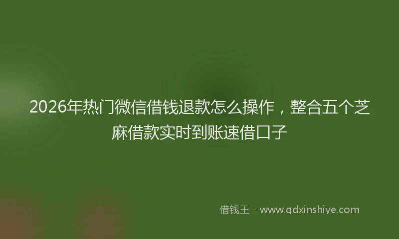 2026年热门微信借钱退款怎么操作，整合五个芝麻借款实时到账速借口子