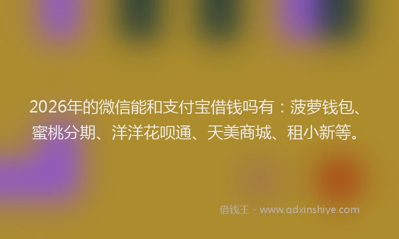 2026年的微信能和支付宝借钱吗有：菠萝钱包、蜜桃分期、洋洋花呗通、天美商城、租小新等。