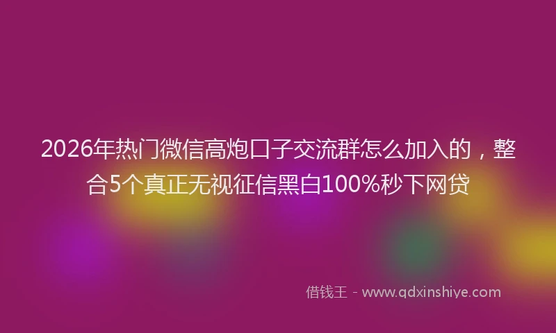 2026年热门微信高炮口子交流群怎么加入的,整合5个真正无视征信黑白100%秒下网贷