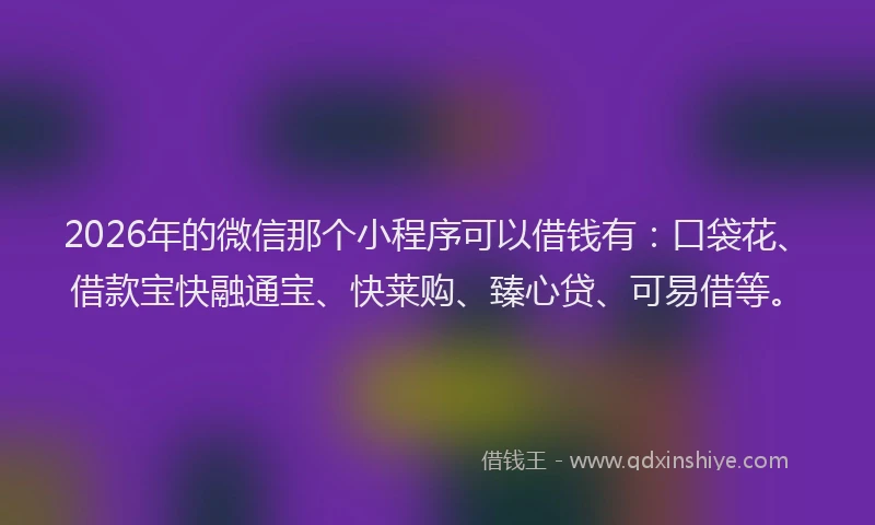 2026年的微信那个小程序可以借钱有:口袋花、借款宝快融通宝、快莱购、臻心贷、可易借等。