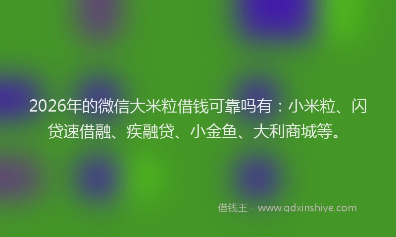 2026年的微信大米粒借钱可靠吗有：小米粒、闪贷速借融、疾融贷、小金鱼、大利商城等。