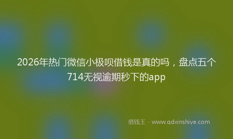 2026年热门微信小极呗借钱是真的吗，盘点五个714无视逾期秒下的app