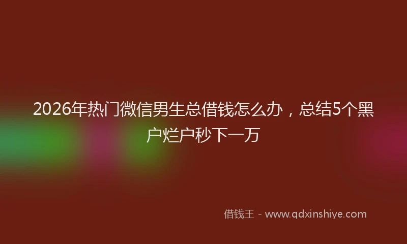 2026年热门微信男生总借钱怎么办，总结5个黑户烂户秒下一万