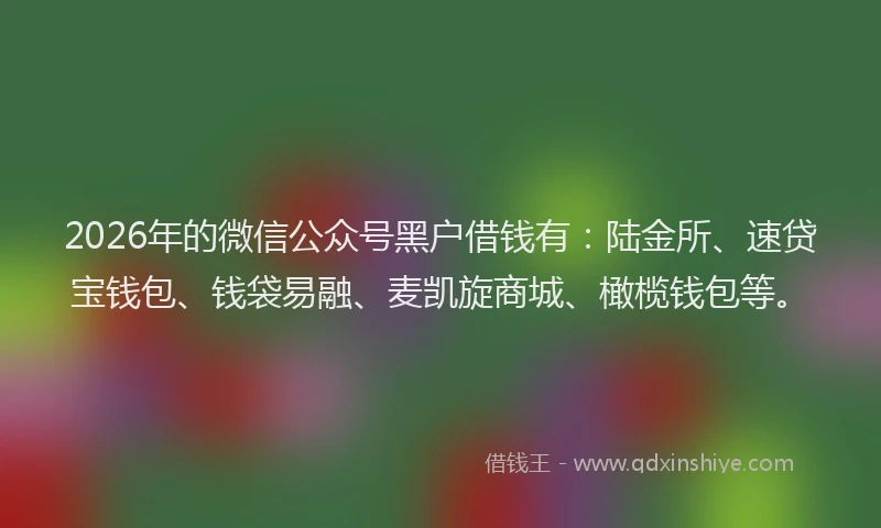 2026年的微信公众号黑户借钱有：陆金所、速贷宝钱包、钱袋易融、麦凯旋商城、橄榄钱包等。