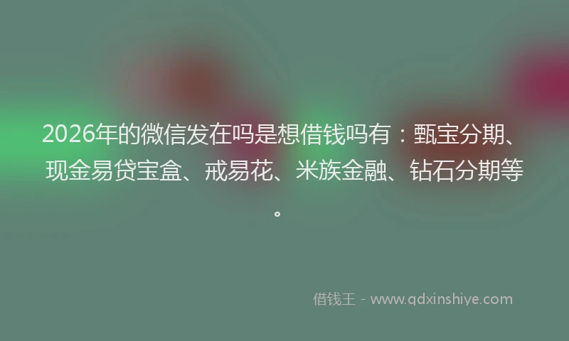 2026年的微信发在吗是想借钱吗有：甄宝分期、现金易贷宝盒、戒易花、米族金融、钻石分期等。