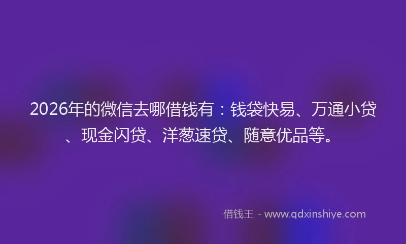 2026年的微信去哪借钱有：钱袋快易、万通小贷、现金闪贷、洋葱速贷、随意优品等。