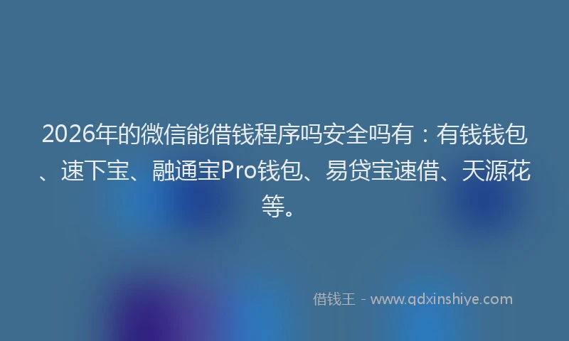 2026年的微信能借钱程序吗安全吗有：有钱钱包、速下宝、融通宝Pro钱包、易贷宝速借、天源花等。