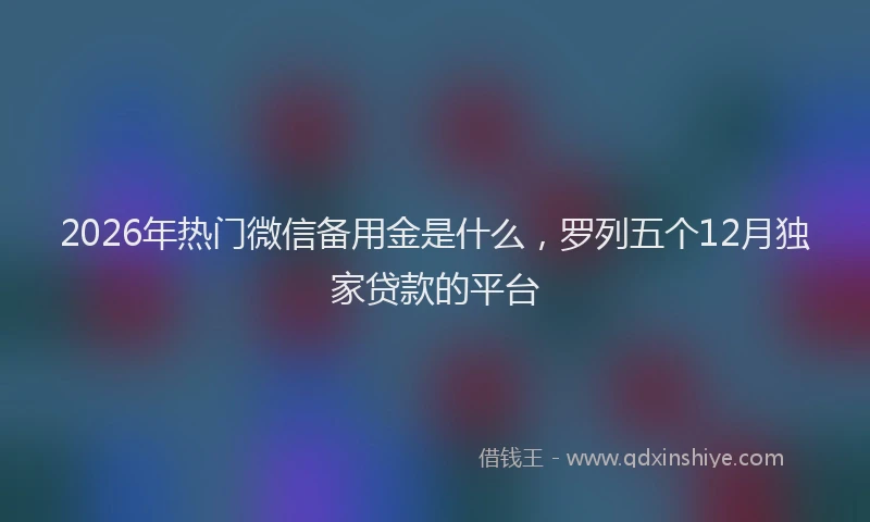 2026年热门微信备用金是什么，罗列五个12月独家贷款的平台
