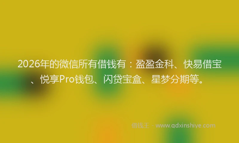 2026年的微信所有借钱有：盈盈金科、快易借宝、悦享Pro钱包、闪贷宝盒、星梦分期等。