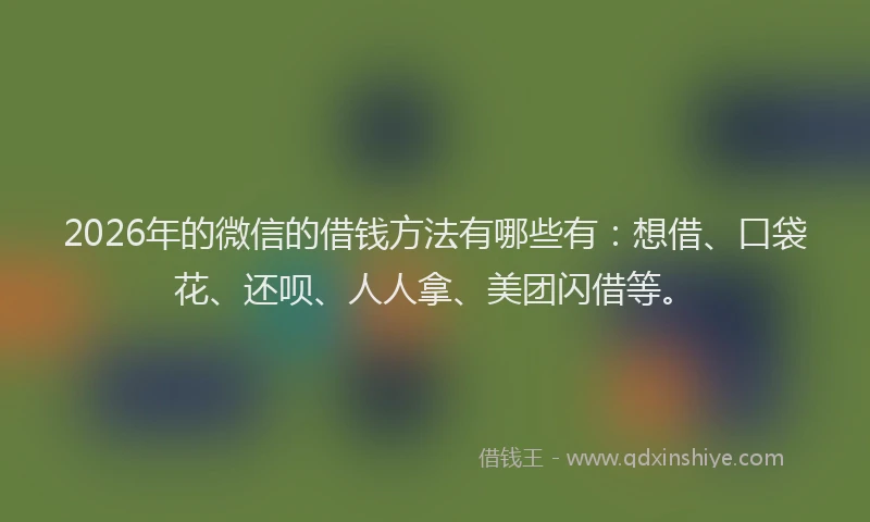 2026年的微信的借钱方法有哪些有：想借、口袋花、还呗、人人拿、美团闪借等。
