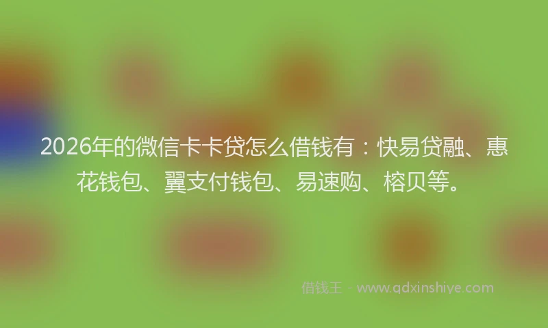 2026年的微信卡卡贷怎么借钱有：快易贷融、惠花钱包、翼支付钱包、易速购、榕贝等。
