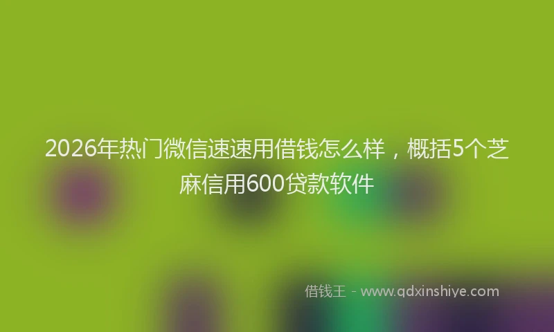 2026年热门微信速速用借钱怎么样，概括5个芝麻信用600贷款软件