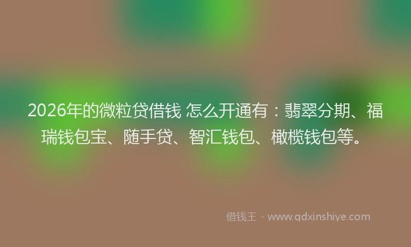 2026年的微粒贷借钱 怎么开通有：翡翠分期、福瑞钱包宝、随手贷、智汇钱包、橄榄钱包等。