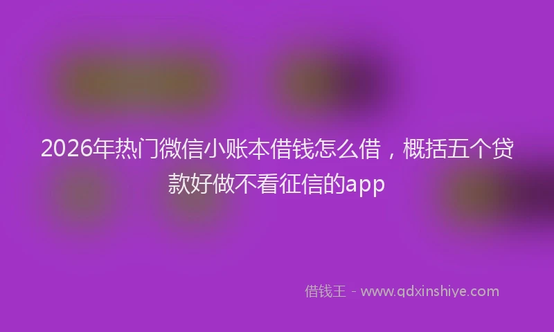 2026年热门微信小账本借钱怎么借，概括五个贷款好做不看征信的app