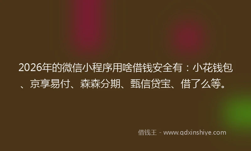 2026年的微信小程序用啥借钱安全有：小花钱包、京享易付、森森分期、甄信贷宝、借了么等。