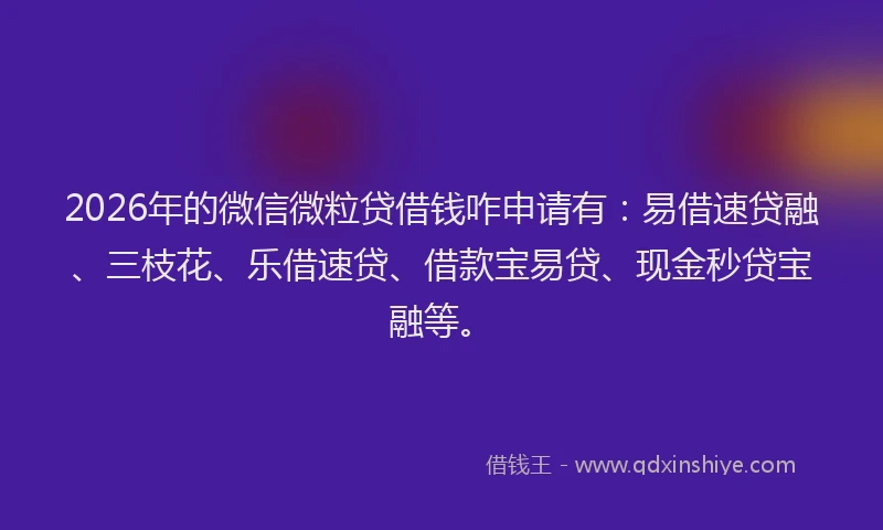 2026年的微信微粒贷借钱咋申请有：易借速贷融、三枝花、乐借速贷、借款宝易贷、现金秒贷宝融等。