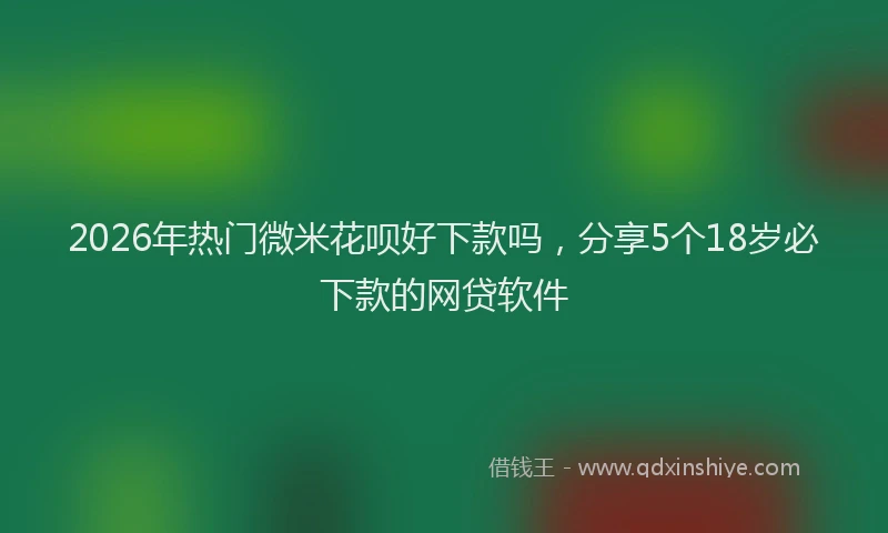 2026年热门微米花呗好下款吗，分享5个18岁必下款的网贷软件