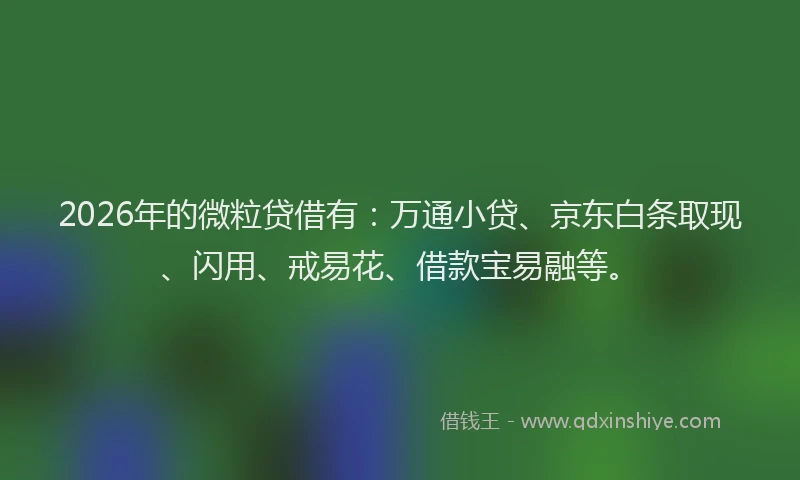 2026年的微粒贷借有：万通小贷、京东白条取现、闪用、戒易花、借款宝易融等。