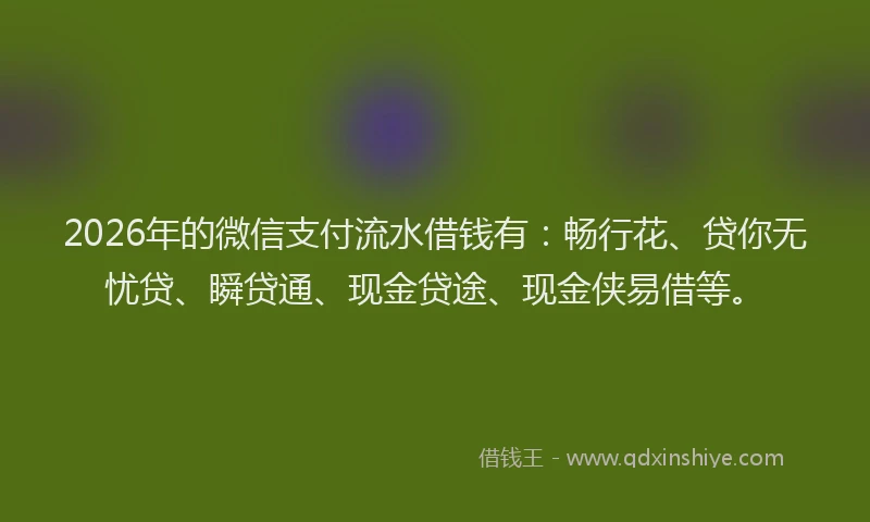 2026年的微信支付流水借钱有：畅行花、贷你无忧贷、瞬贷通、现金贷途、现金侠易借等。