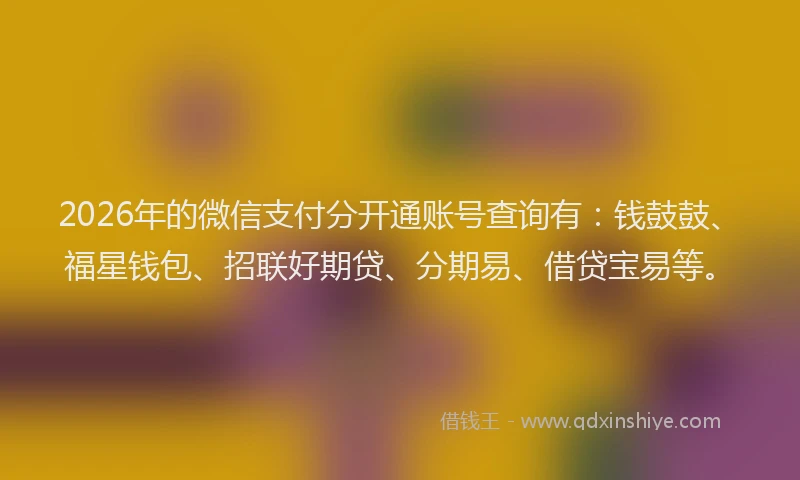 2026年的微信支付分开通账号查询有：钱鼓鼓、福星钱包、招联好期贷、分期易、借贷宝易等。
