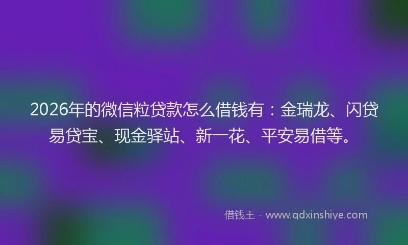 2026年的微信粒贷款怎么借钱有：金瑞龙、闪贷易贷宝、现金驿站、新一花、平安易借等。