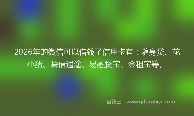 2026年的微信可以借钱了信用卡有：随身贷、花小猪、瞬借通途、易融贷宝、金租宝等。