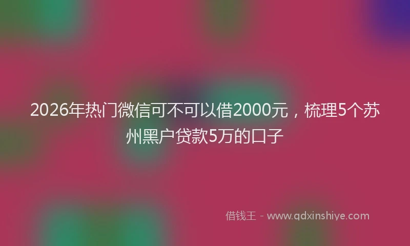 2026年热门微信可不可以借2000元，梳理5个苏州黑户贷款5万的口子