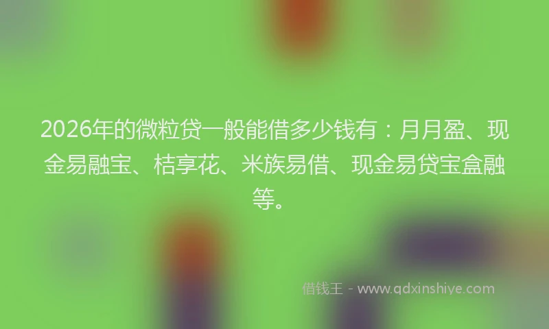 2026年的微粒贷一般能借多少钱有:月月盈、现金易融宝、桔享花、米族易借、现金易贷宝盒融等。
