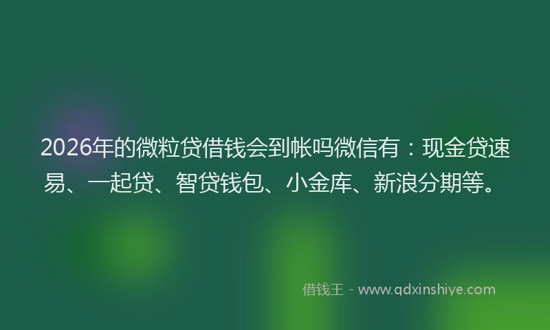 2026年的微粒贷借钱会到帐吗微信有：现金贷速易、一起贷、智贷钱包、小金库、新浪分期等。
