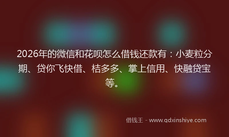 2026年的微信和花呗怎么借钱还款有：小麦粒分期、贷你飞快借、桔多多、掌上信用、快融贷宝等。