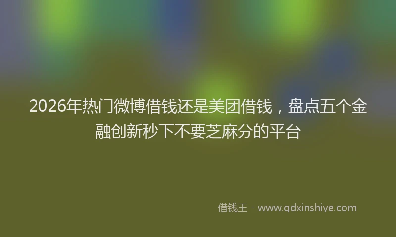 2026年热门微博借钱还是美团借钱,盘点五个金融创新秒下不要芝麻分的平台