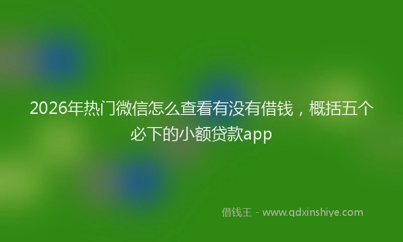 2026年热门微信怎么查看有没有借钱，概括五个必下的小额贷款app